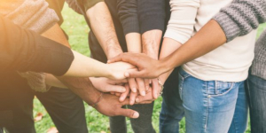 Consulta giovanile Comune di Matera: Insediata l'assemblea